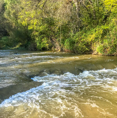 Réussir votre sortie pêche dans le Lubéron : nos conseils pratiques