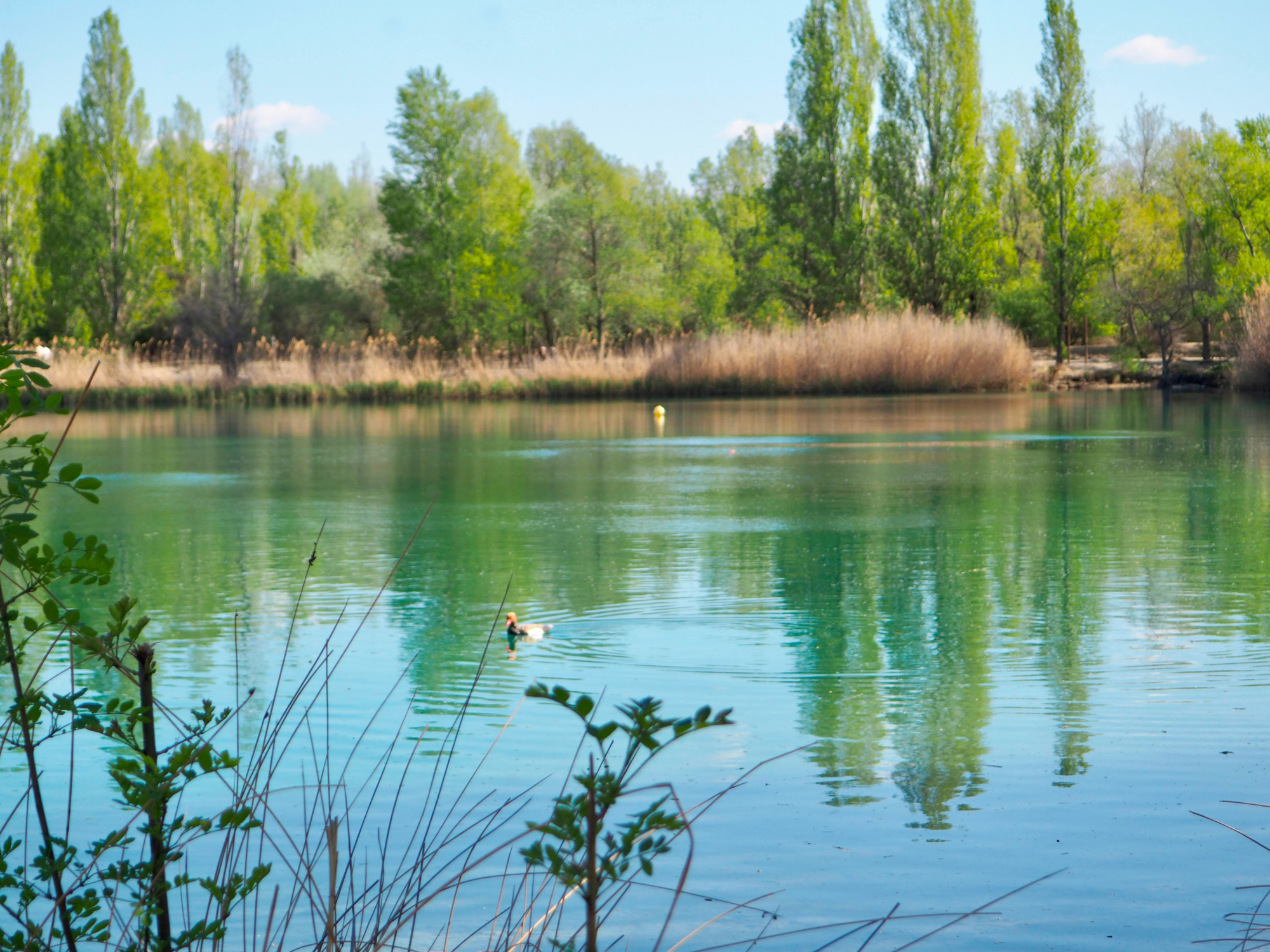lac des vandales manosque