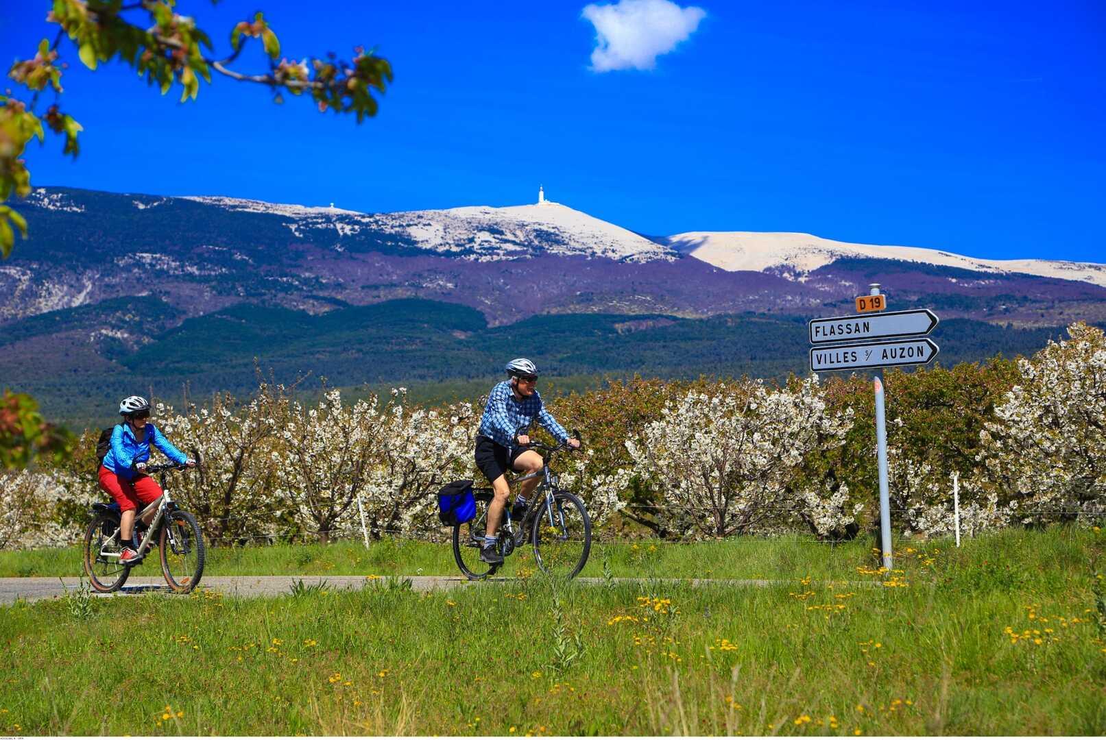 Le Mont Ventoux à vélo