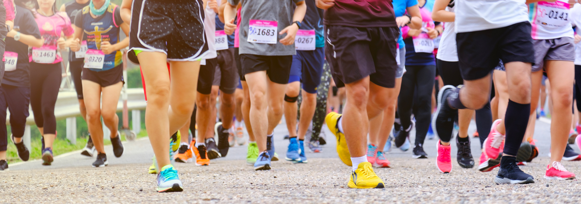 course a pieds luberon