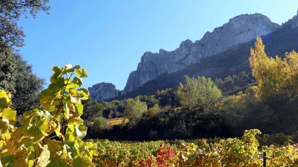 Les dentelles de Montmirail