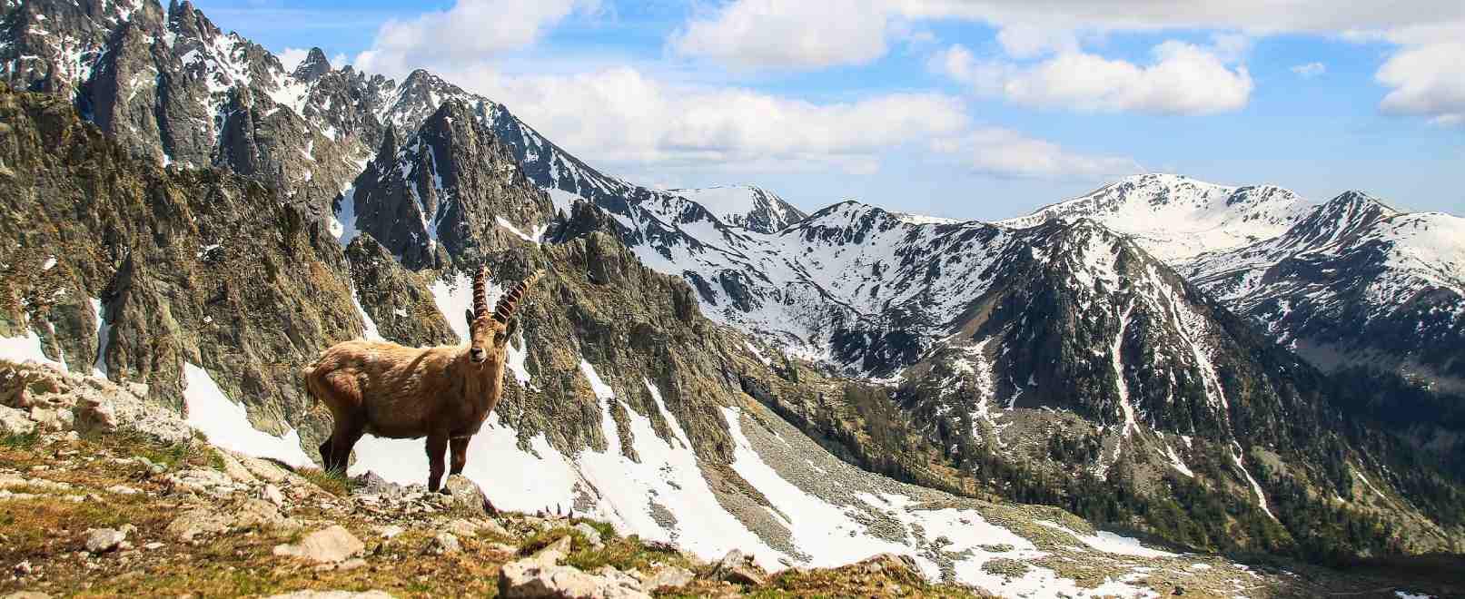 Le parc national du Mercantour