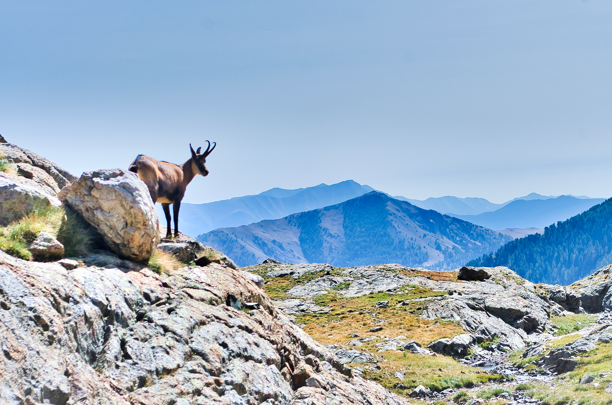 mercantour