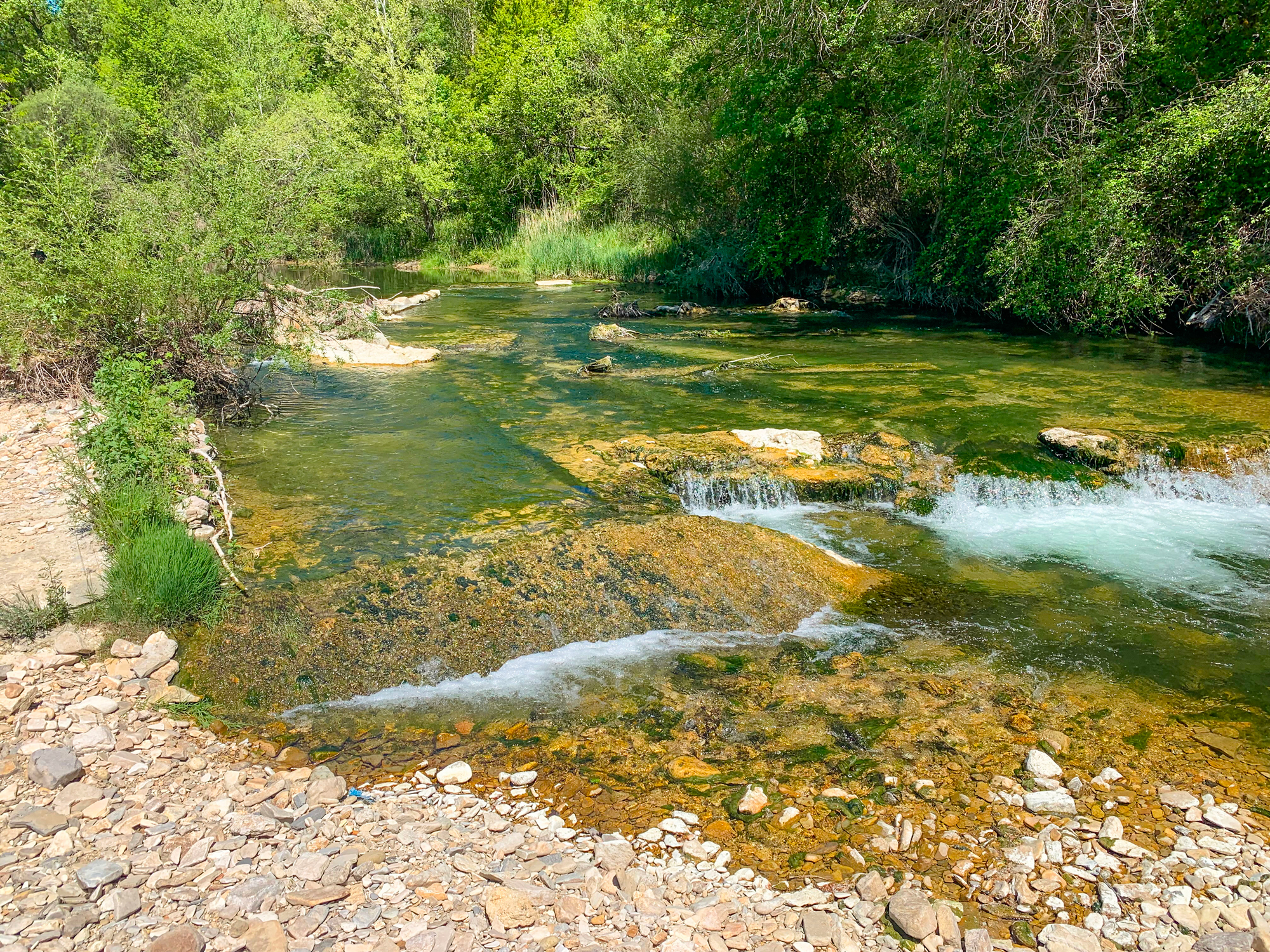 Bord de rivière