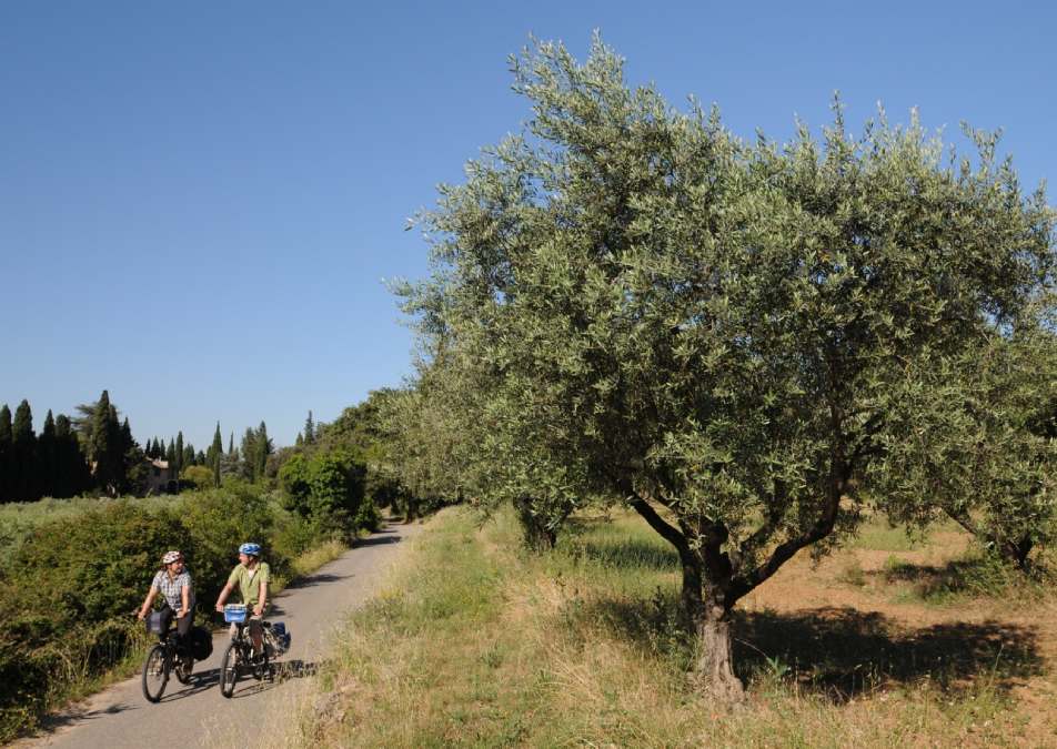 camping riviere luberon