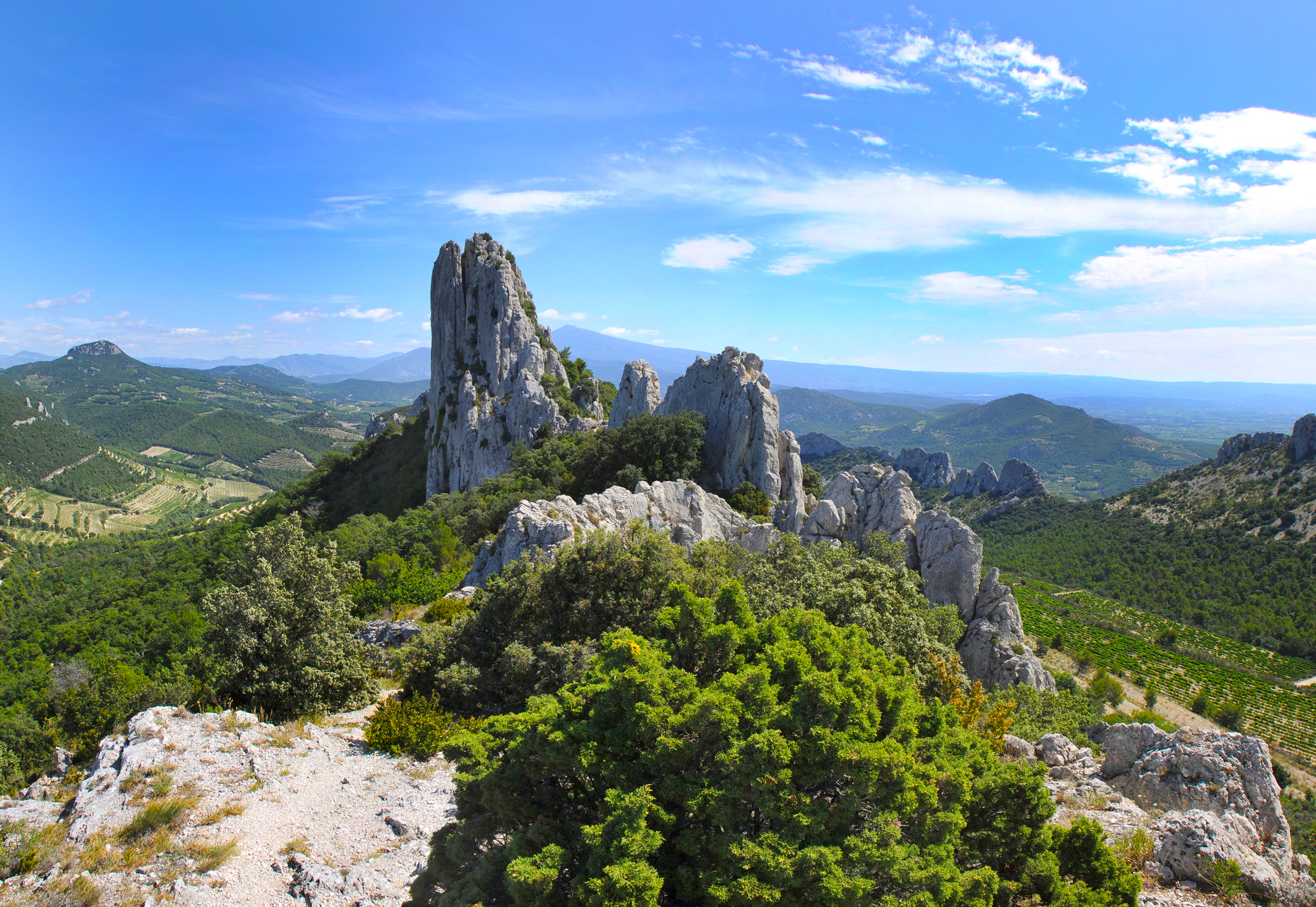 dentelles montmirail