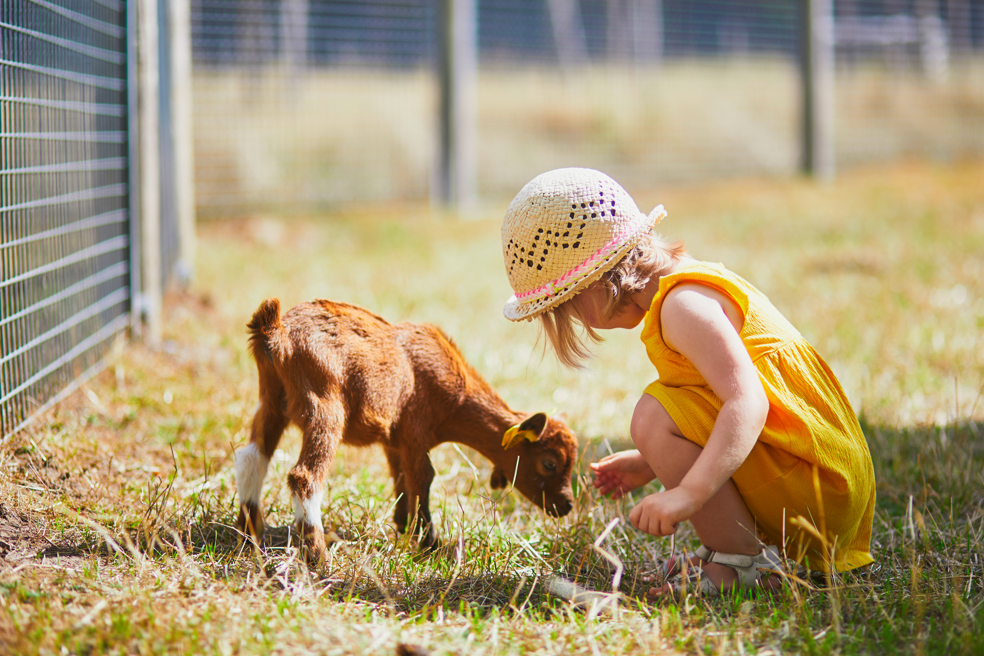 vacances a la ferme luberon